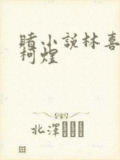 赌小说林喜朝和柯煜封面