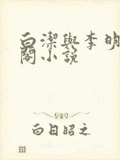 白洁与李明笔趣阁小说封面