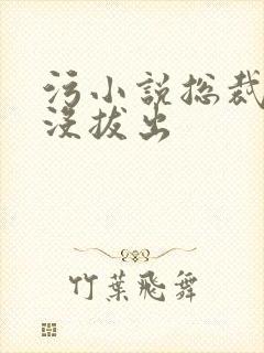 污小说总裁整夜没拔出