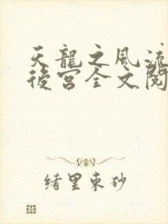 天龙之风流猎艳后宫全文阅读