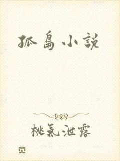 孤岛小说