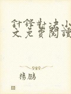 针锋对决小说全文免费阅读完整版封面