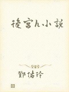 后宫h小说封面