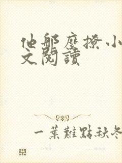 他那么撩小说全文阅读封面