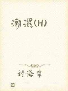 潮湿(H)