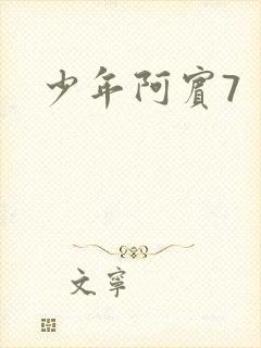 少年阿宾7封面