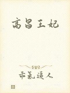 高昌王妃封面