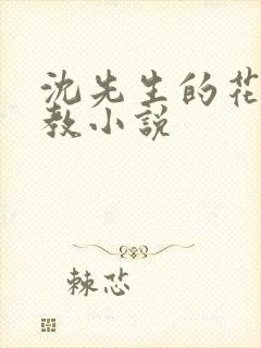 沈先生的花式调教小说