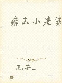 雍正小老婆封面