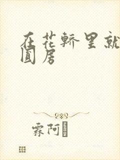 在花轿里就开始圆房封面