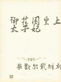 御花园皇上撞着太子妃