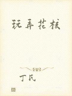 玩弄花核封面