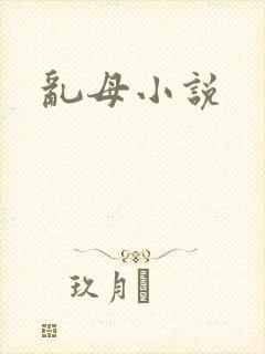 乱母小说