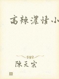 高辣浓情小说