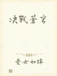 决战苍穹