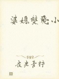婆媳双飞小说