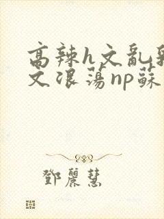 高辣h文乱乳h文浪荡np苏夏封面
