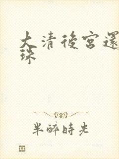 大清后宫还君明珠