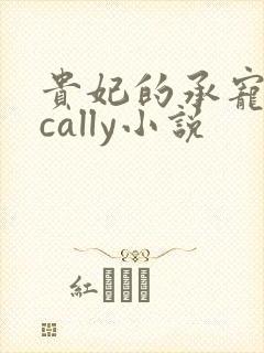 贵妃的承宠日常cally小说