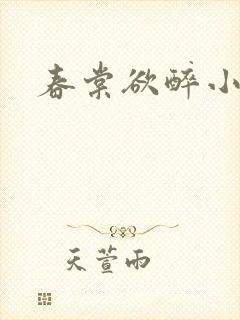 春棠欲醉小说