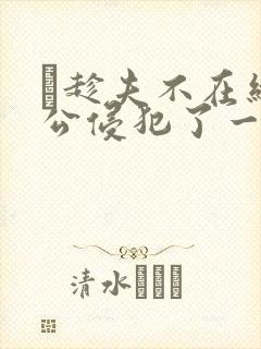 巜趁夫不在给给公侵犯了一天
