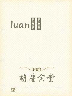 luanС˵封面