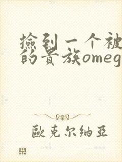 捡到一个被抹布的贵族omega