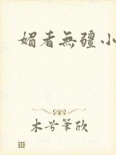 媚者无疆小说