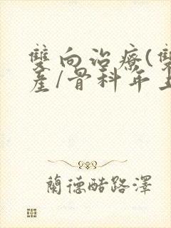 双向治疗(双/产/骨科年上)