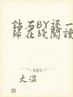 钻石BY逐一而归在线阅读封面
