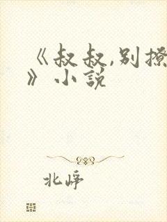 《叔叔,别撩我》小说封面