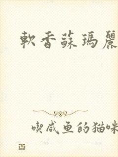 软香苏玛丽封面