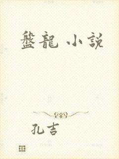 盘龙 小说封面