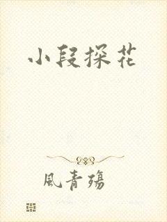 小段探花封面
