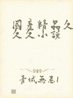 国产精品久久久久久小说