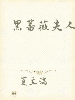 黑蔷薇夫人封面