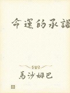 命运的承诺封面