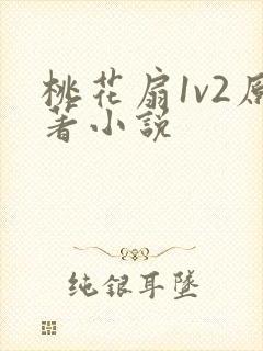 桃花扇1v2原著小说封面