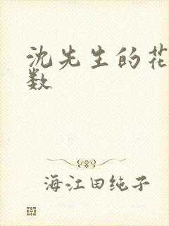沈先生的花式调数