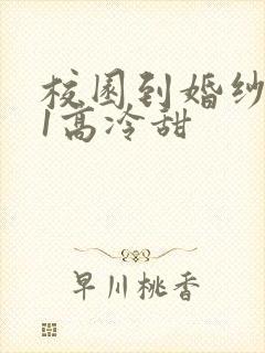 校园到婚纱1V1高冷甜封面