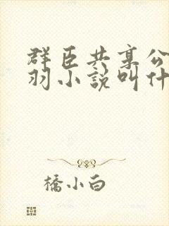 群臣共享公主银羽小说叫什么