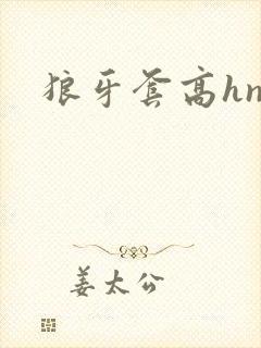 狼牙套高hnp
