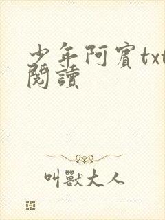 少年阿宾txt阅读封面