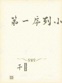 第一序列小说