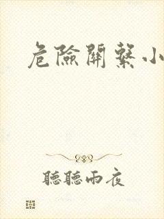 危险关系小说