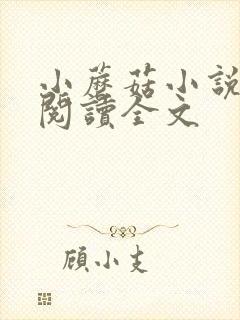 小蘑菇小说免费阅读全文