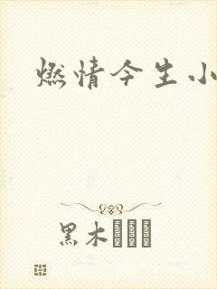 燃情今生小说