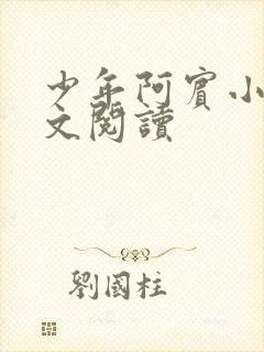 少年阿宾小说全文阅读