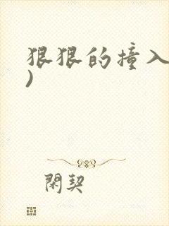 狠狠的撞入(h)