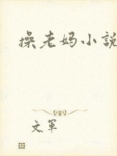 操老妈小说